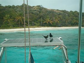 28 Tierischer Besuch.JPG